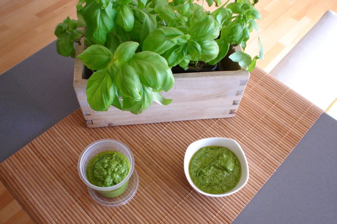 salsa-pesto