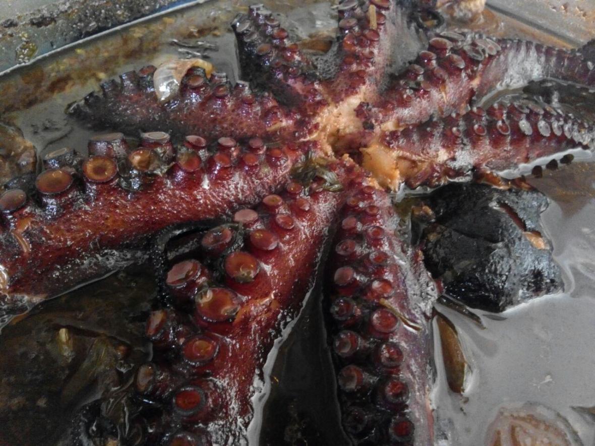 photo_2017-09-02_14-18-53